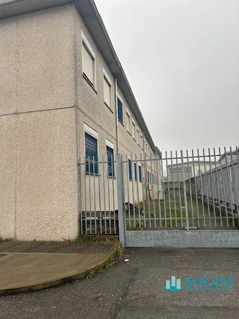 immagine annuncio 12 di 14