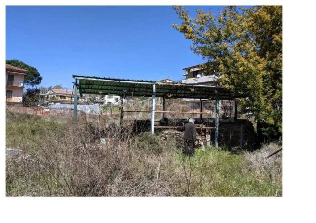 immagine annuncio 5 di 10