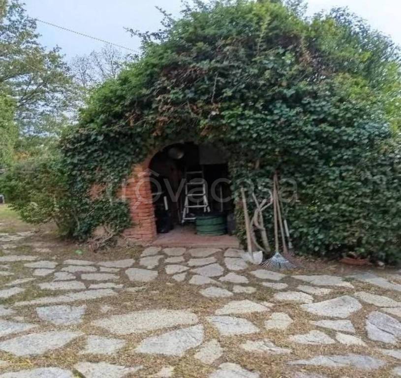 immagine annuncio 12 di 15