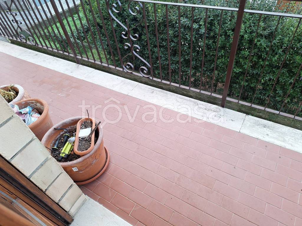 immagine annuncio 3 di 14