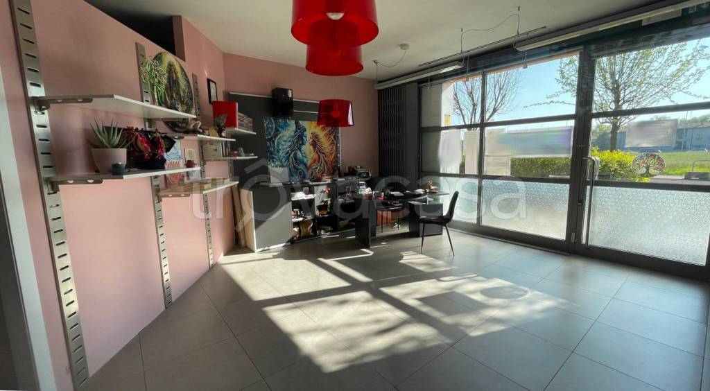 immagine annuncio 1 di 15