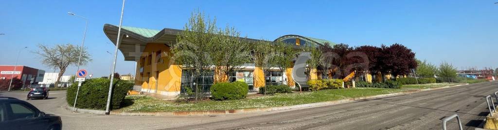 immagine annuncio 3 di 15