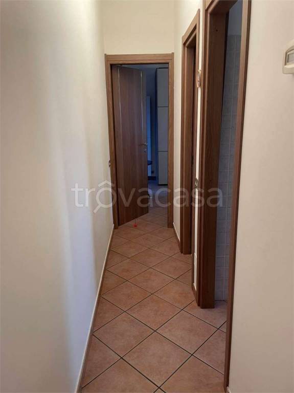 immagine annuncio 7 di 14