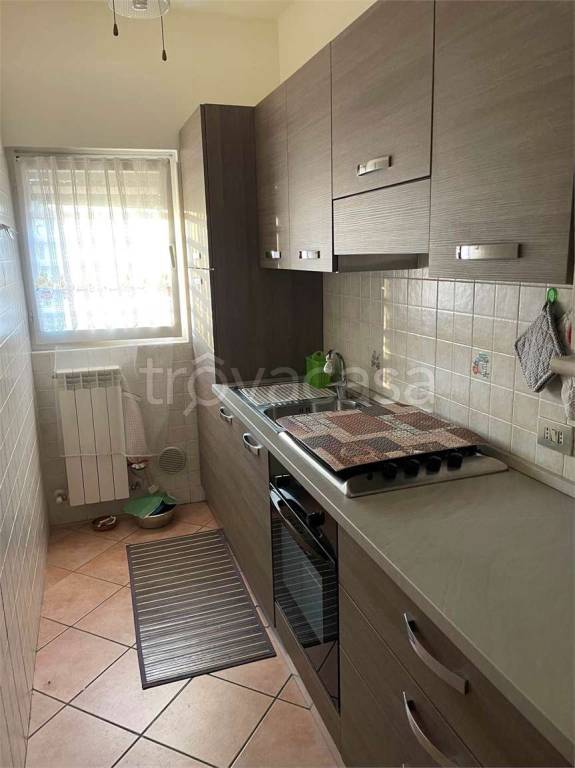 immagine annuncio 9 di 14