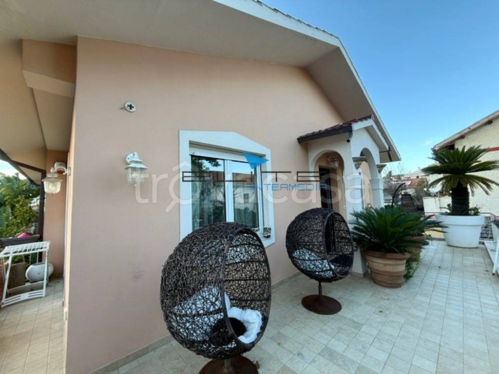 immagine annuncio 10 di 15