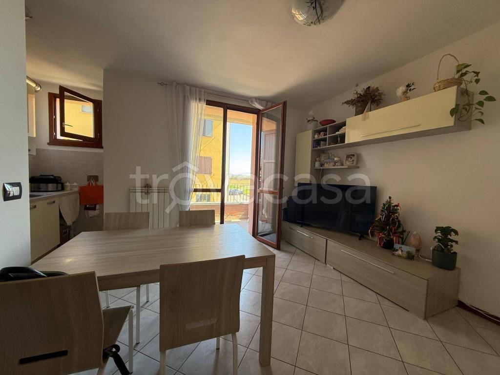 immagine annuncio 4 di 12