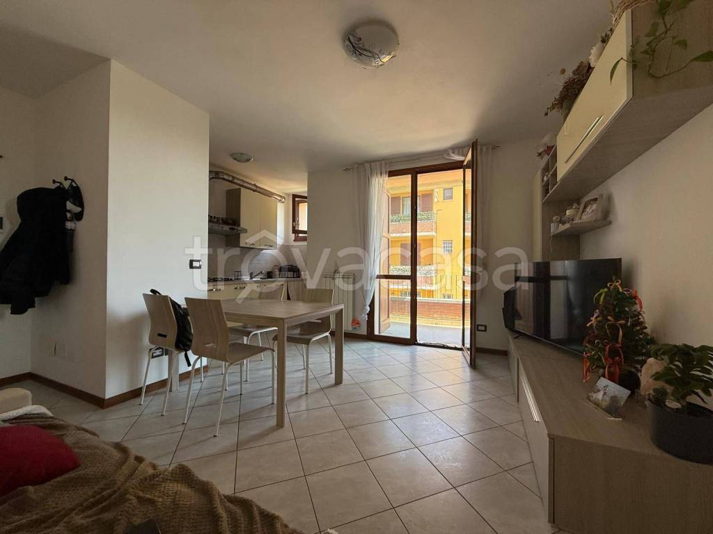 immagine annuncio 5 di 12