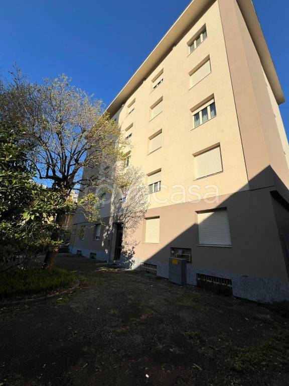 immagine annuncio 5 di 12