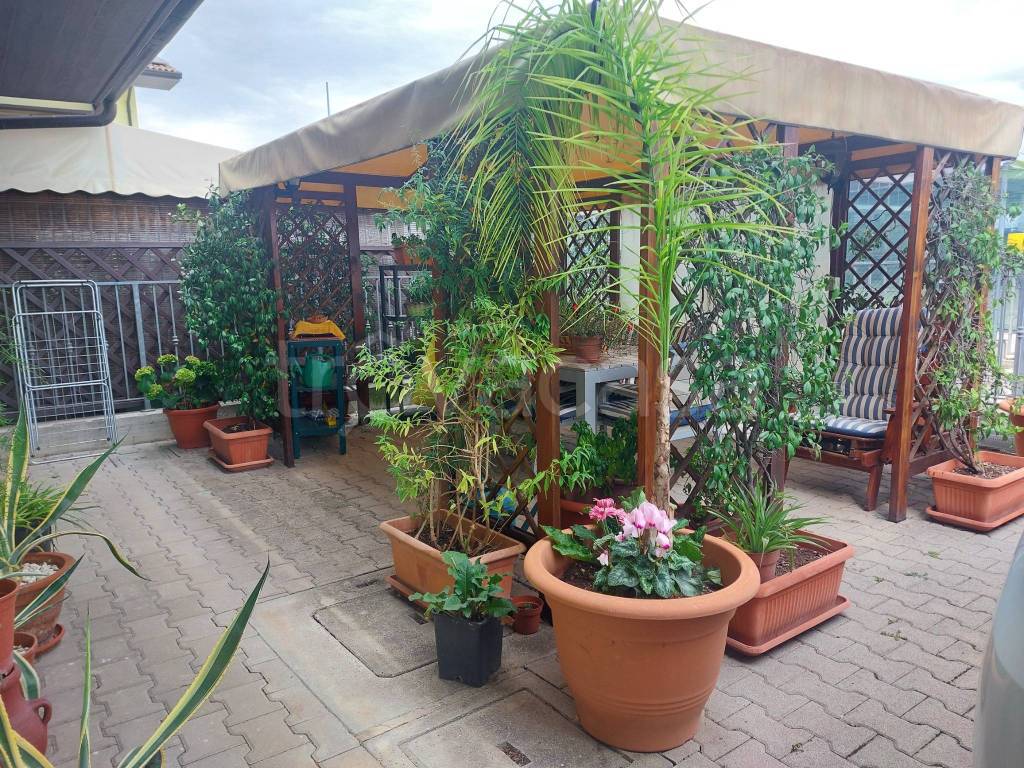 immagine annuncio 2 di 15