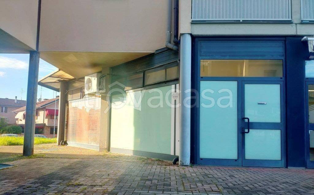 immagine annuncio 12 di 14