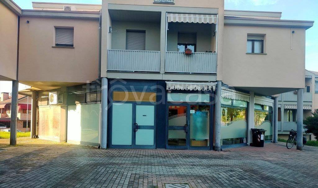 immagine annuncio 13 di 14