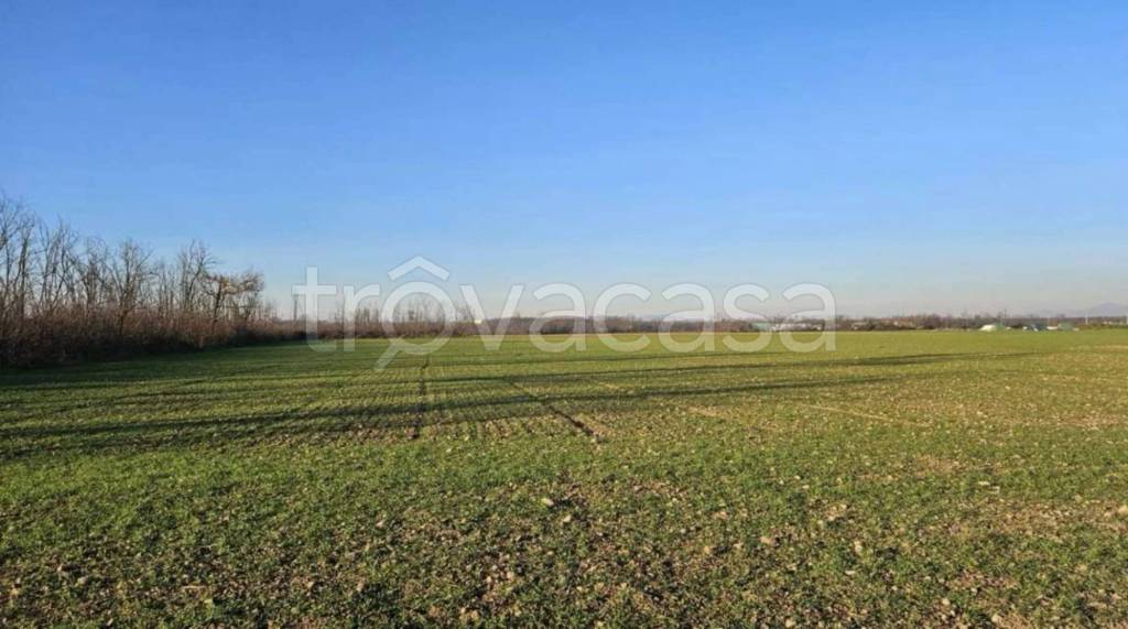 immagine annuncio 4 di 8