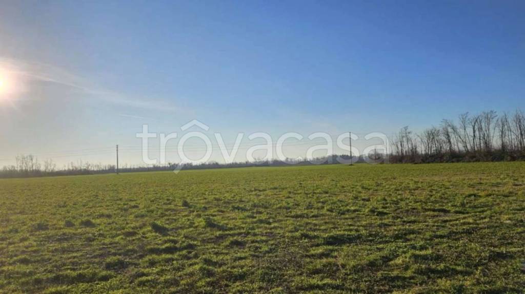 immagine annuncio 6 di 8