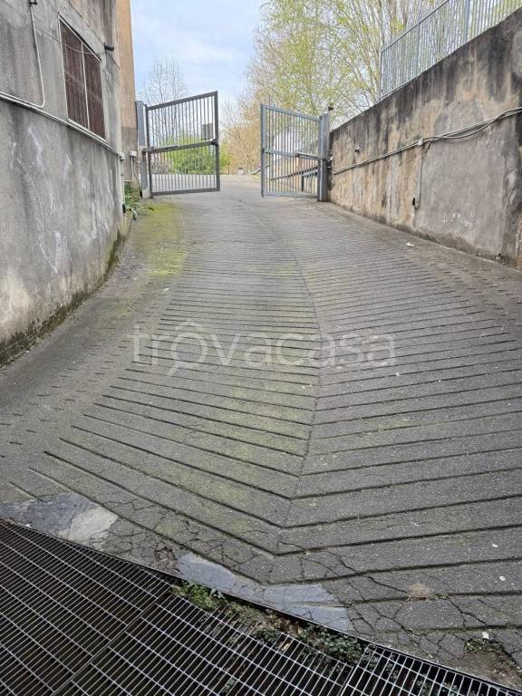 immagine annuncio 8 di 12