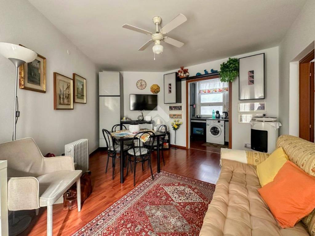 immagine annuncio 3 di 14