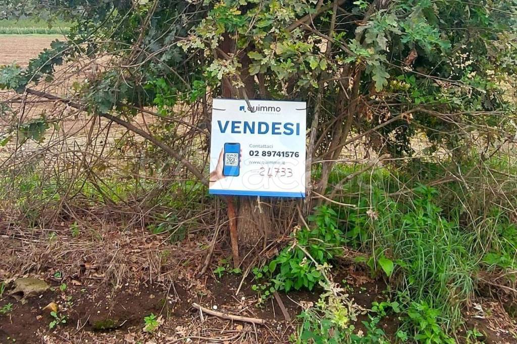 immagine annuncio 2 di 11