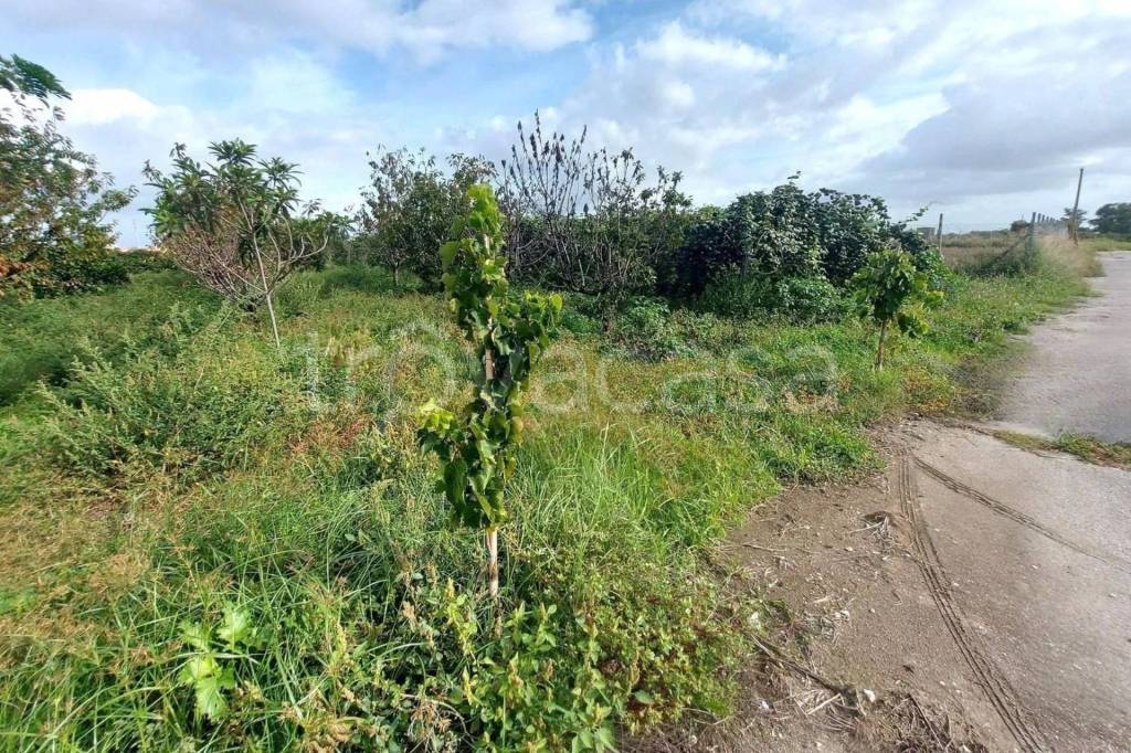 immagine annuncio 3 di 11