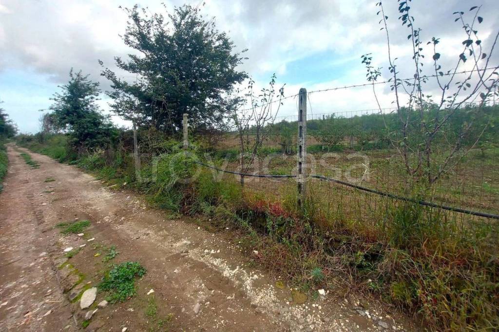 immagine annuncio 7 di 11