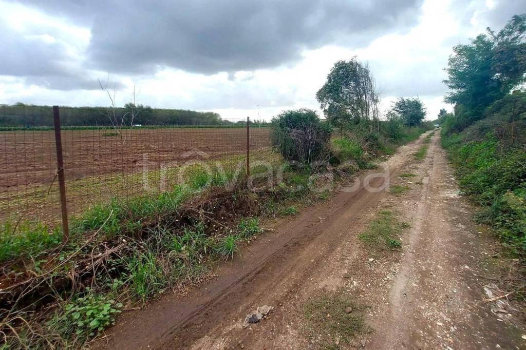 immagine annuncio 8 di 11