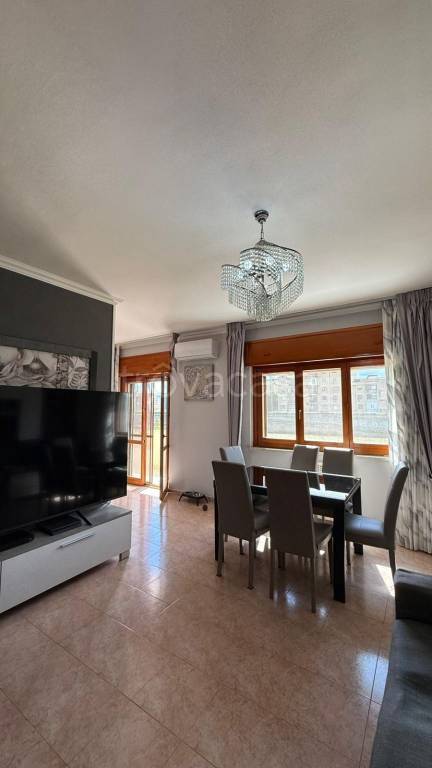 immagine annuncio 2 di 12