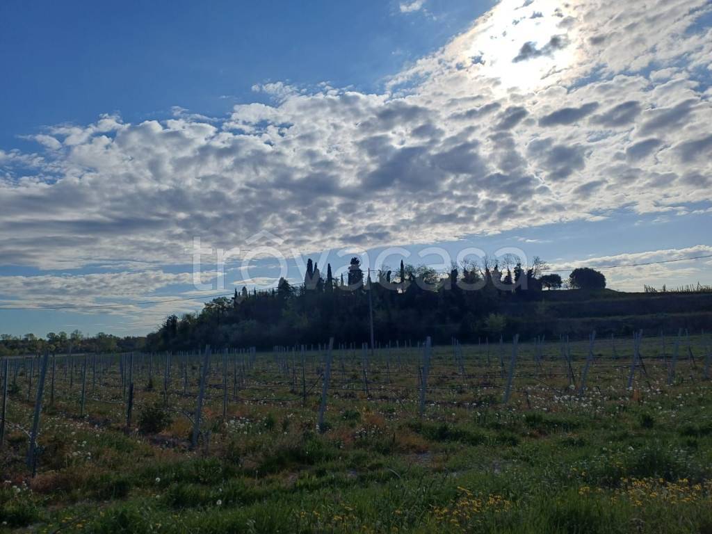 immagine annuncio 8 di 13