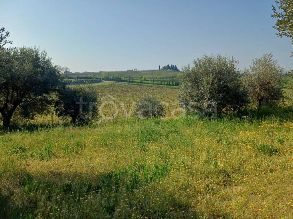 immagine annuncio 10 di 13