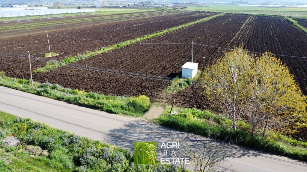 immagine annuncio 6 di 11