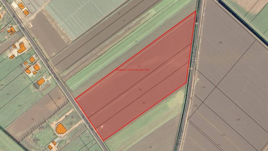 immagine annuncio 8 di 11