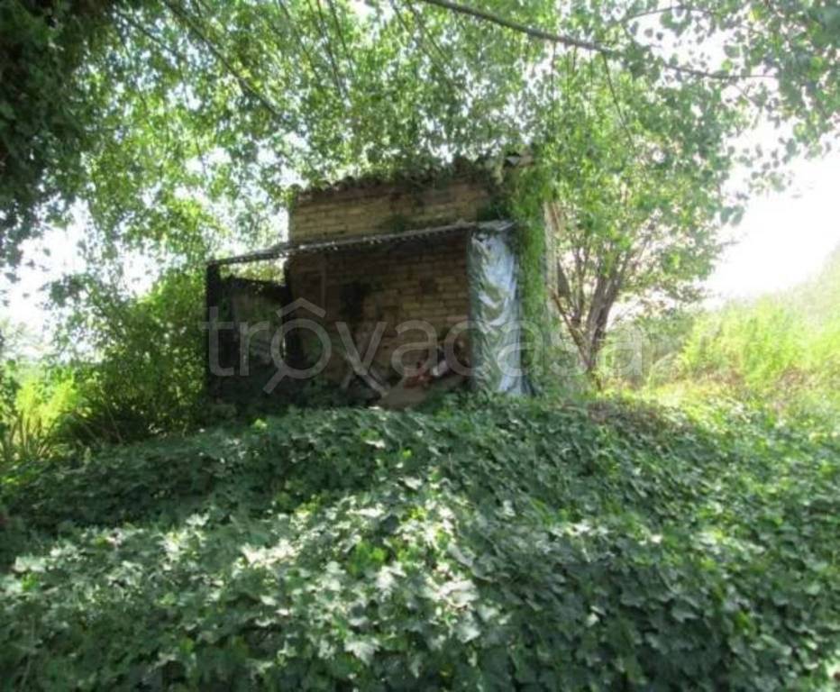 immagine annuncio 7 di 14