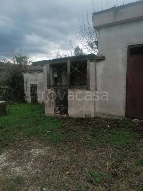 immagine annuncio 9 di 14