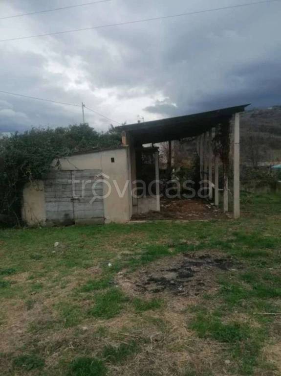 immagine annuncio 10 di 14