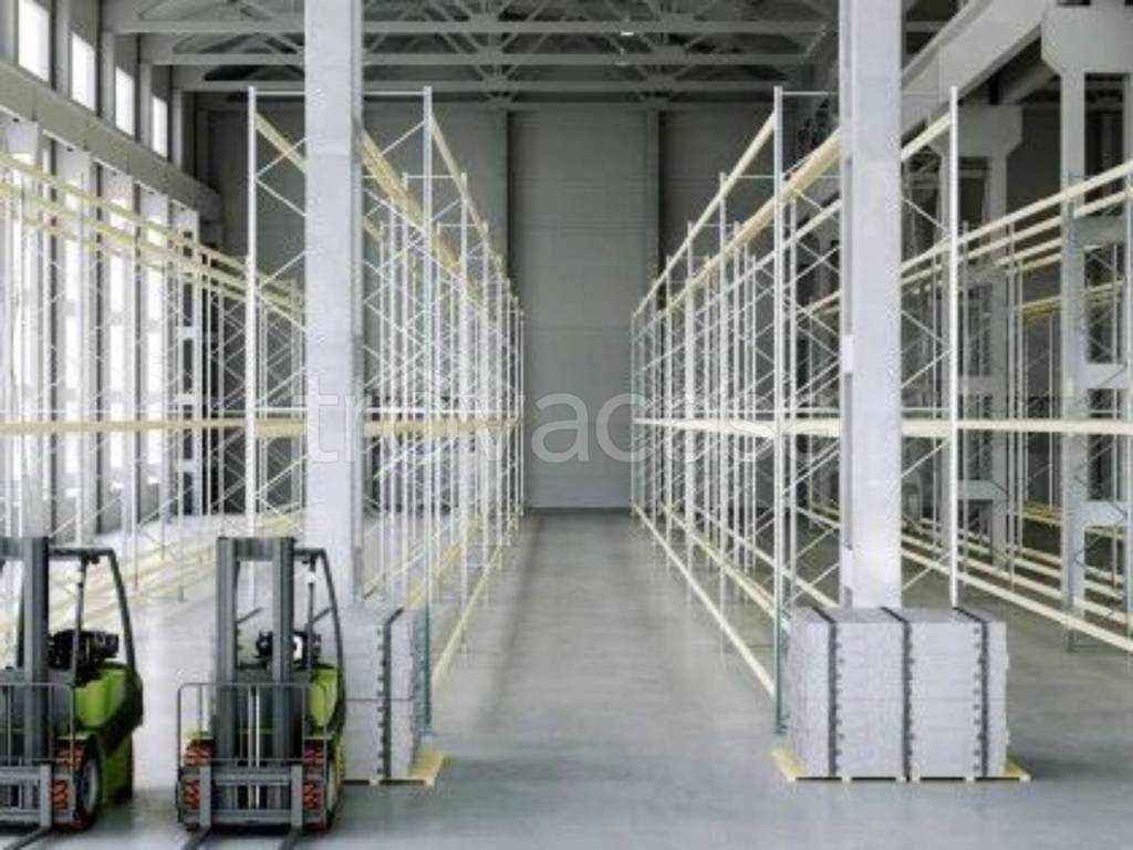 immagine annuncio 2 di 8