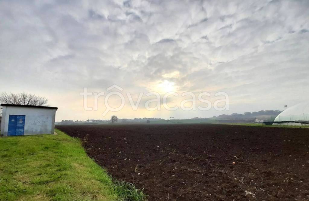 immagine annuncio 4 di 13