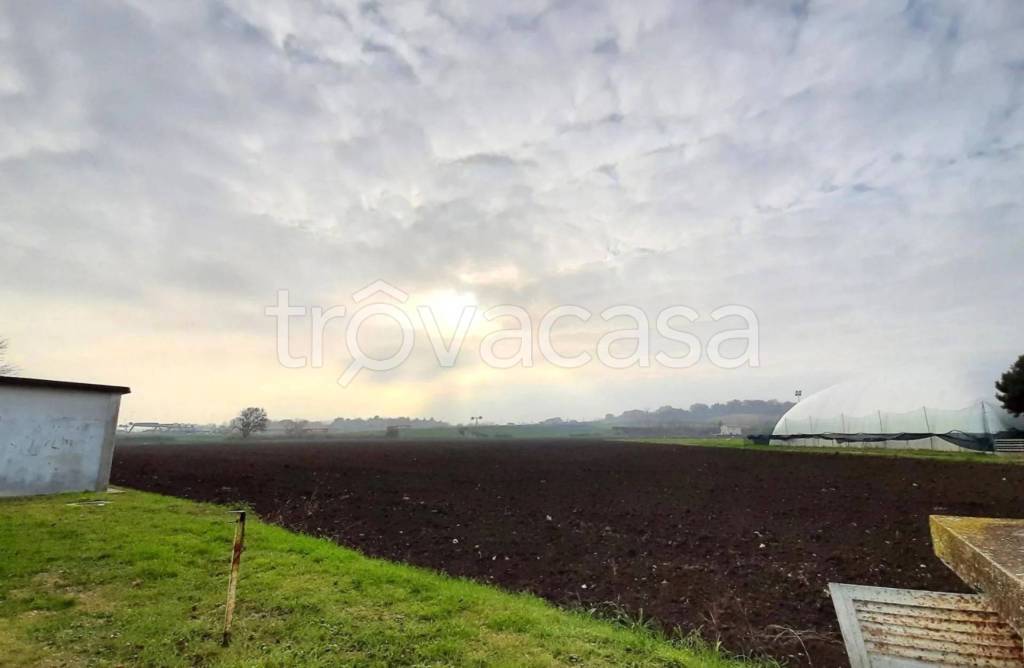 immagine annuncio 5 di 13