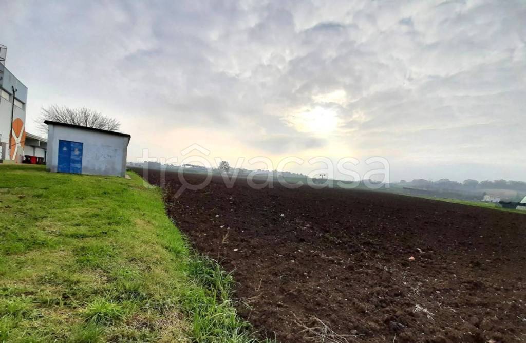 immagine annuncio 6 di 13