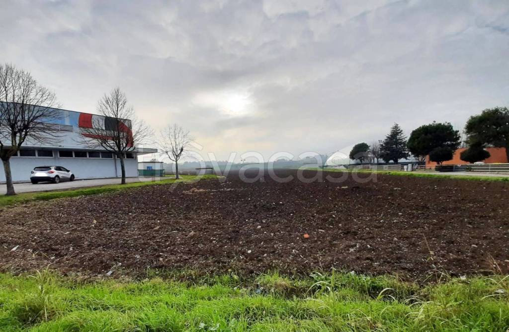 immagine annuncio 7 di 13