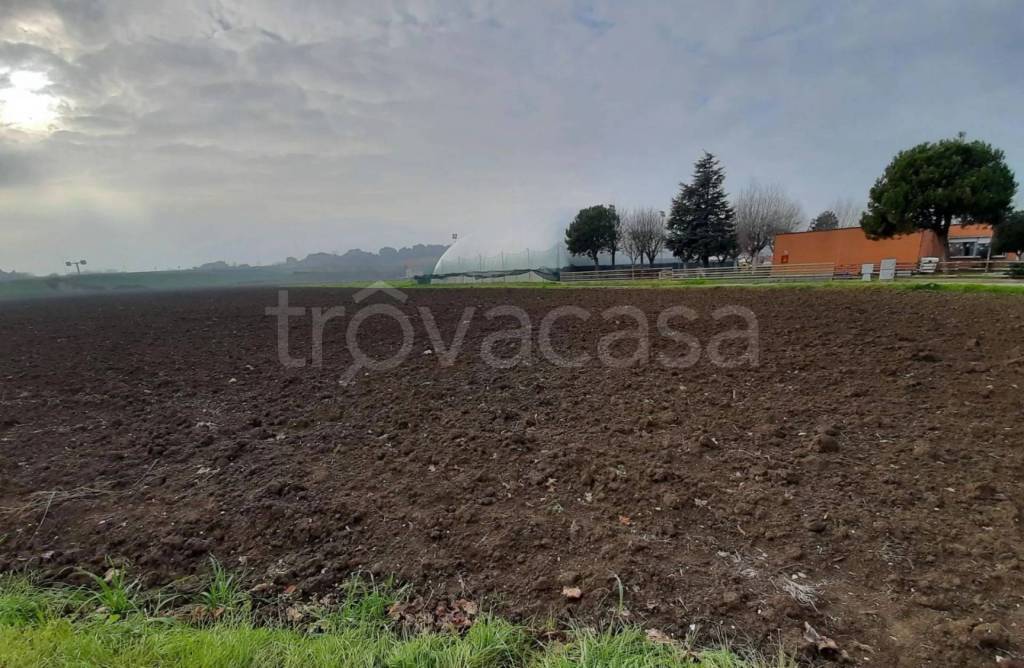 immagine annuncio 8 di 13