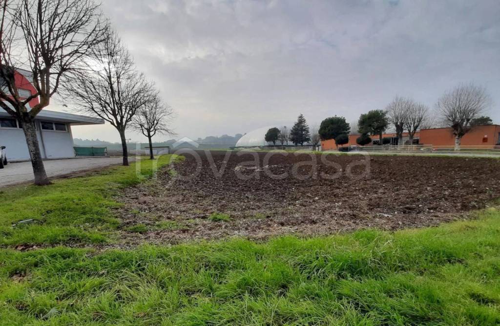 immagine annuncio 11 di 13