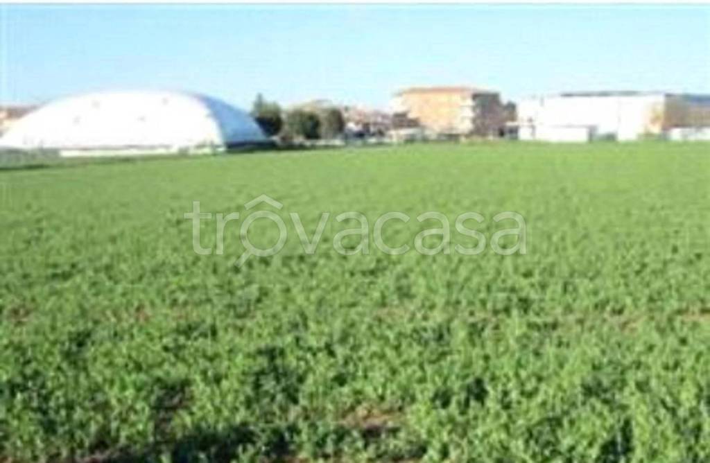 immagine annuncio 12 di 13