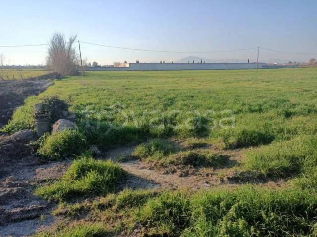 immagine annuncio 3 di 9