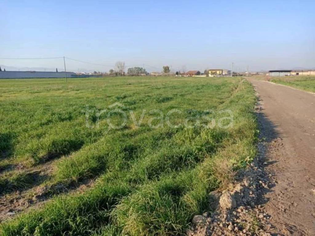 immagine annuncio 4 di 9