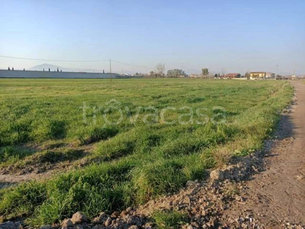 immagine annuncio 6 di 9