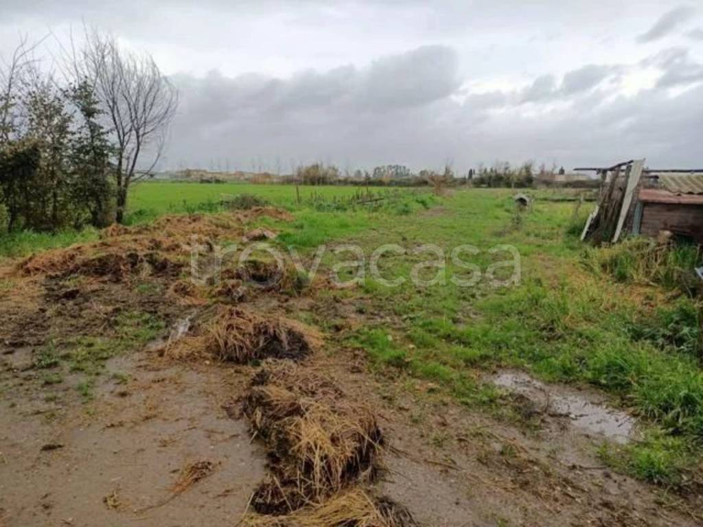 immagine annuncio 8 di 9