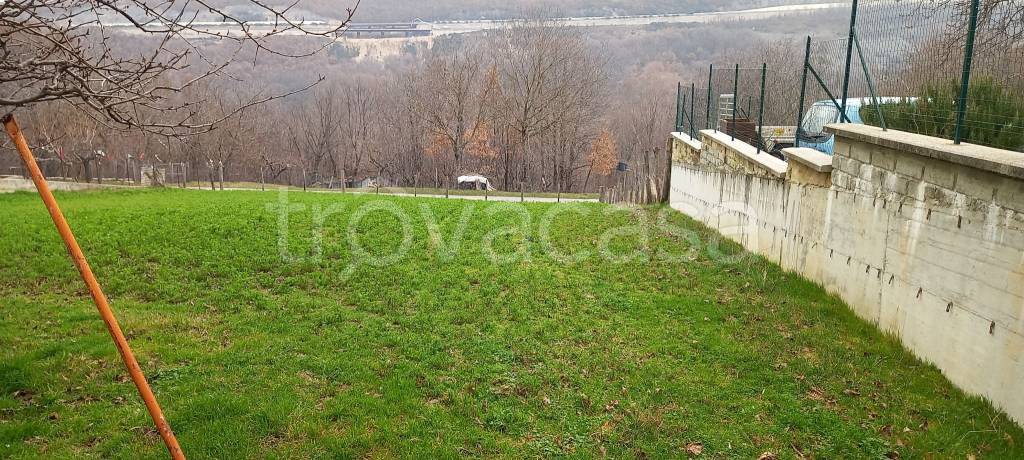 immagine annuncio 5 di 8