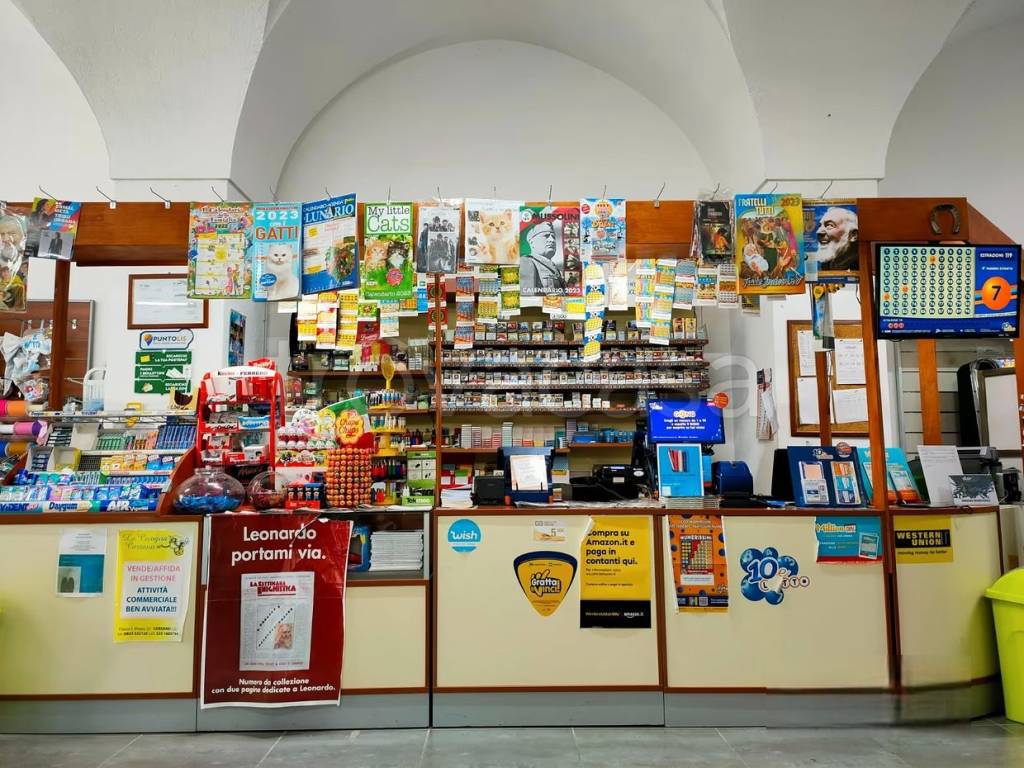 immagine annuncio 7 di 15