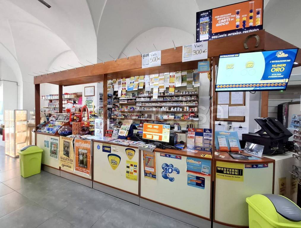 immagine annuncio 9 di 15