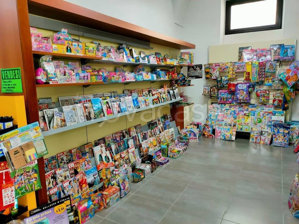 immagine annuncio 12 di 15