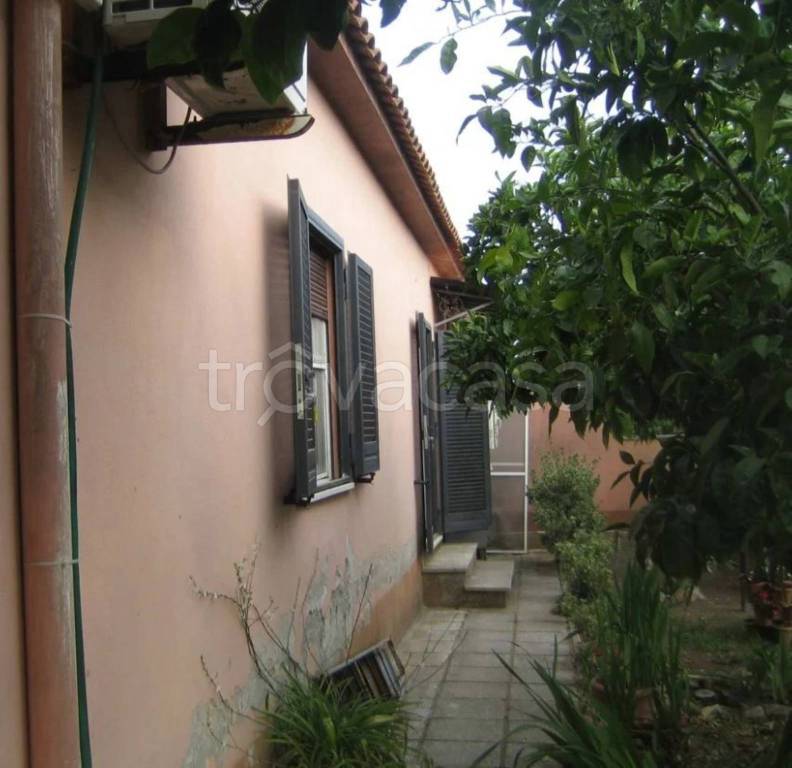 immagine annuncio 4 di 14