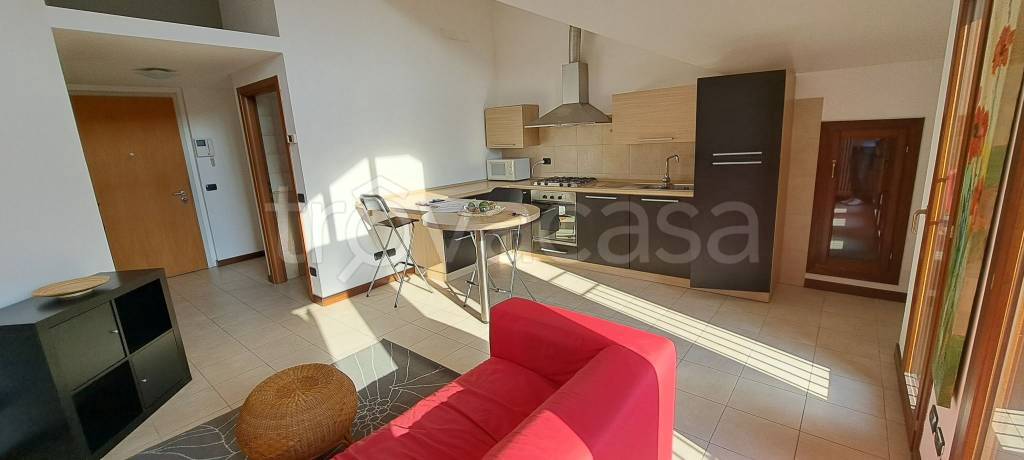 immagine annuncio 9 di 12