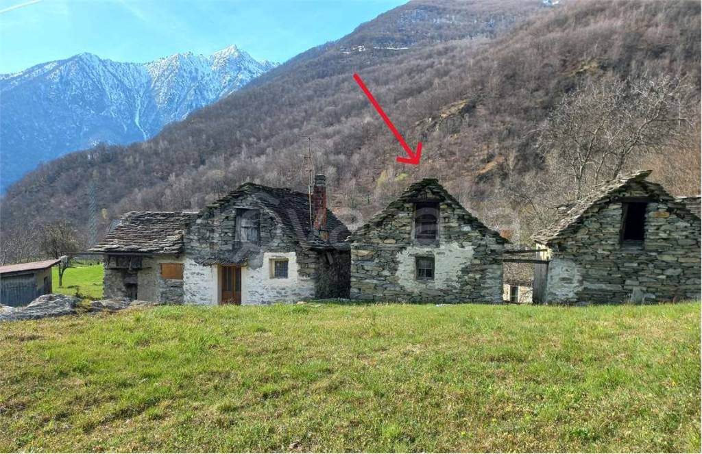 immagine annuncio 4 di 12